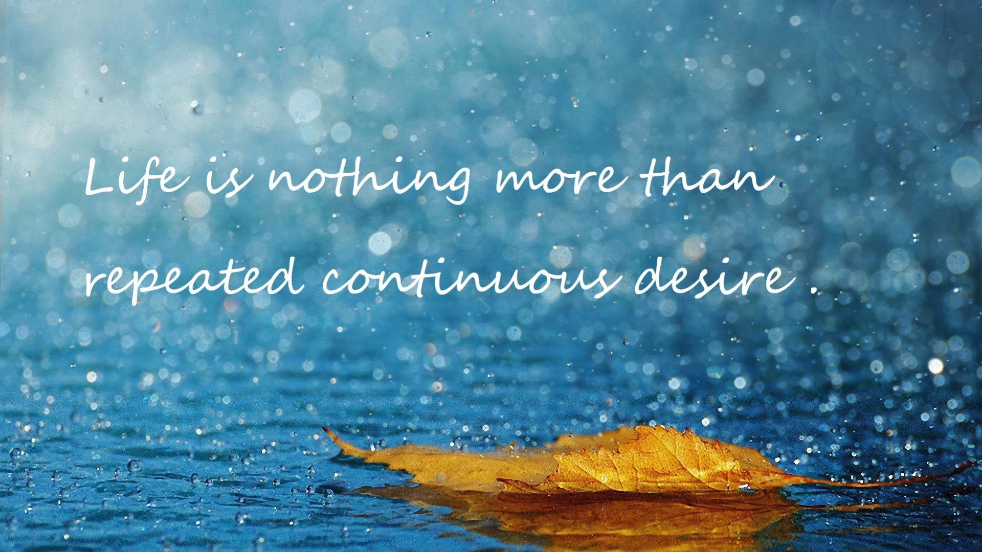 阿鲁巴球队晋级世界杯附加赛,成绩喜人,阿鲁巴对加拿大