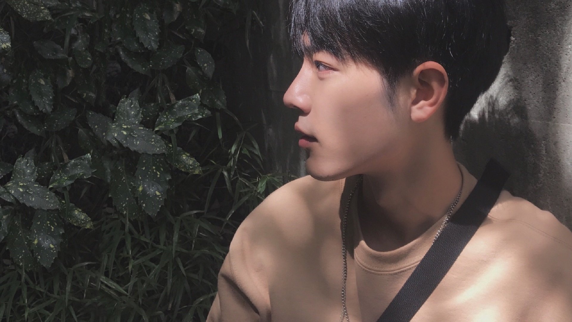 AYX GAME-NBA球队主教练战术风格比较，2021年nba各球队主教练名字