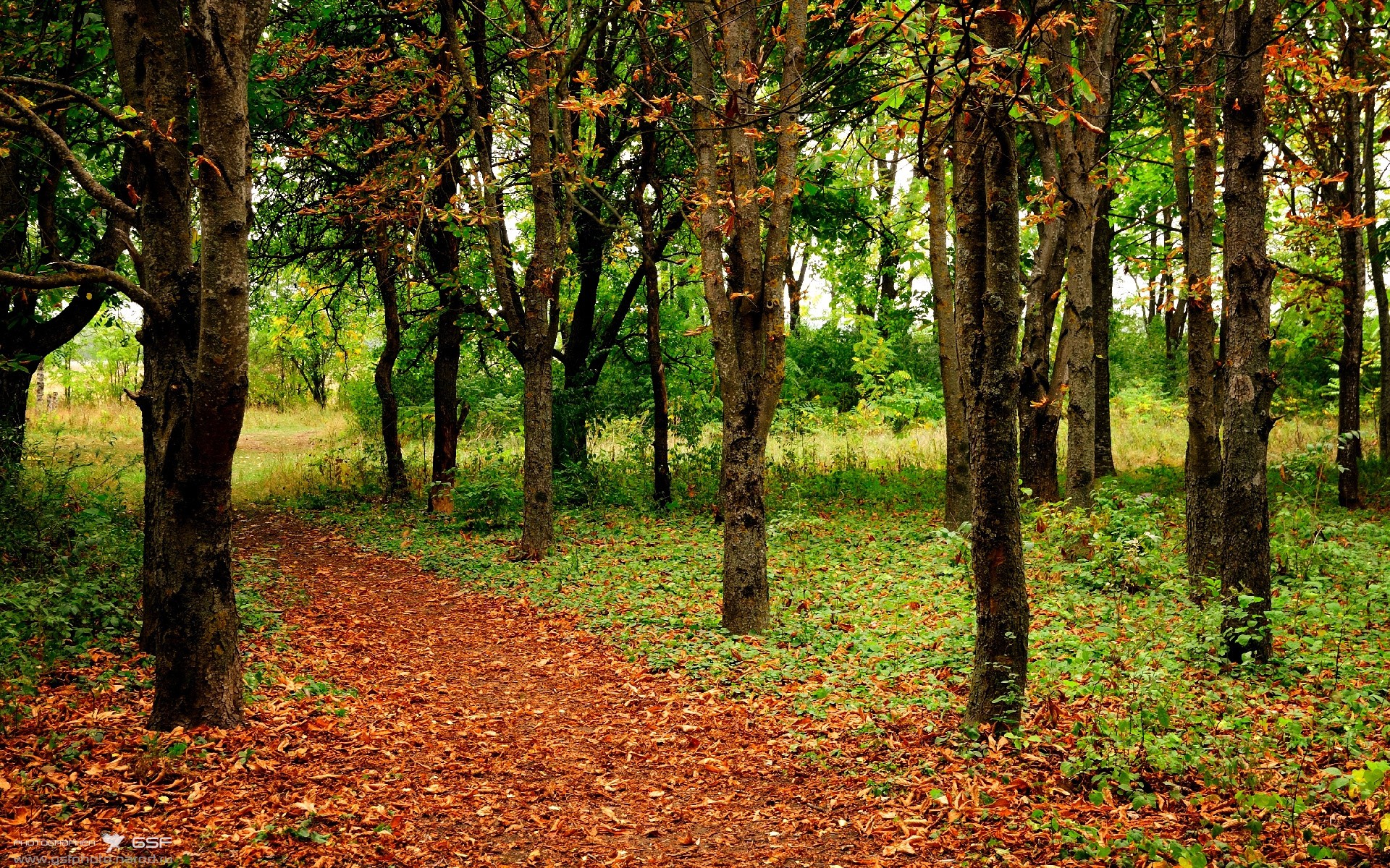世界青年拳击锦标赛中国拳手再登巅峰，世界青年拳击锦标赛冠军