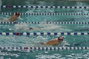 爱游戏体育官方网站-世界短池游泳锦标赛多项世界纪录诞生，第一届世界短池游泳锦标赛