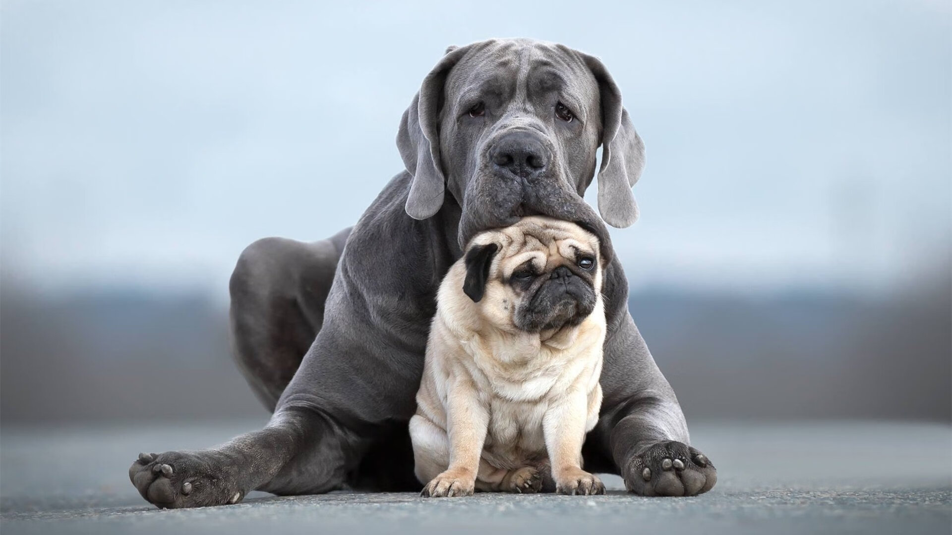 爱游戏-青少年体育人才选拔标准制定，青少年体育事业