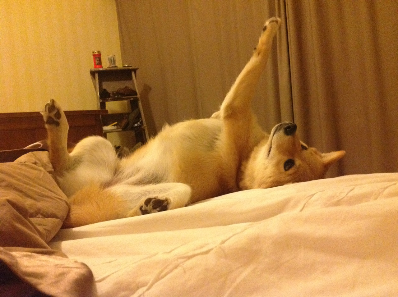 安热中场核心引领节奏变化