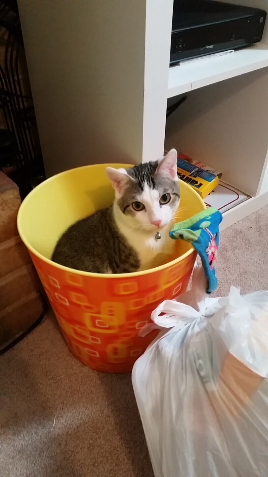 爱游戏体育平台-波兰队赛制解析：如何在赛制中提高对战术的理解与执行，波兰 比赛全程