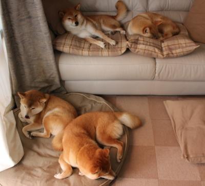 爱游戏app下载-电竞官方数据平台开放公众访问功能强大，电竞go官网