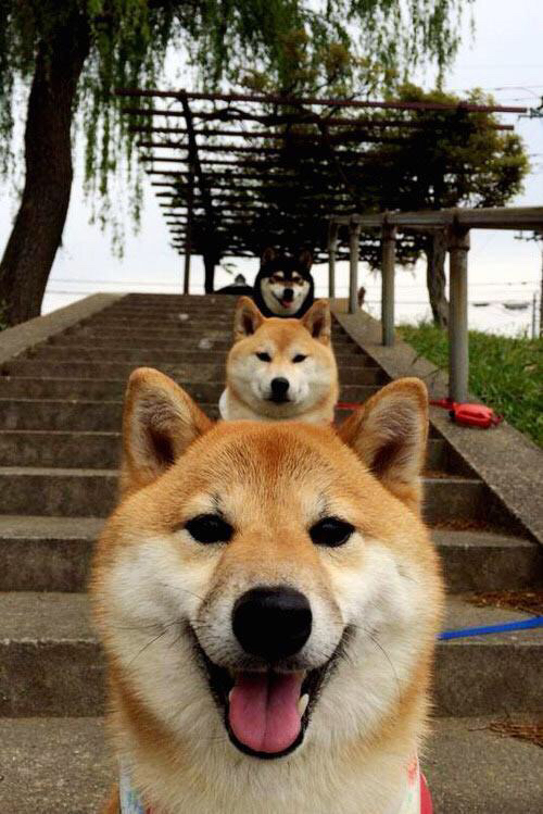 自由泳长距离稳定发挥再添奖牌,自由泳长距离游技术