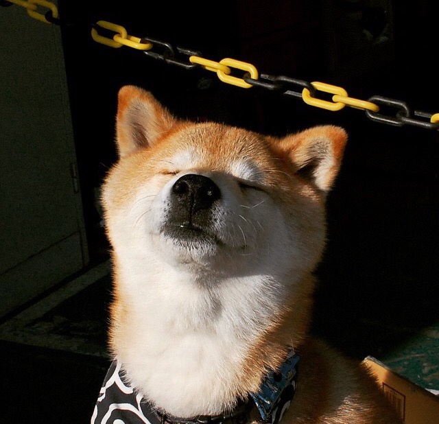 花滑名将金博洋复出首战即夺金,金博洋 花滑