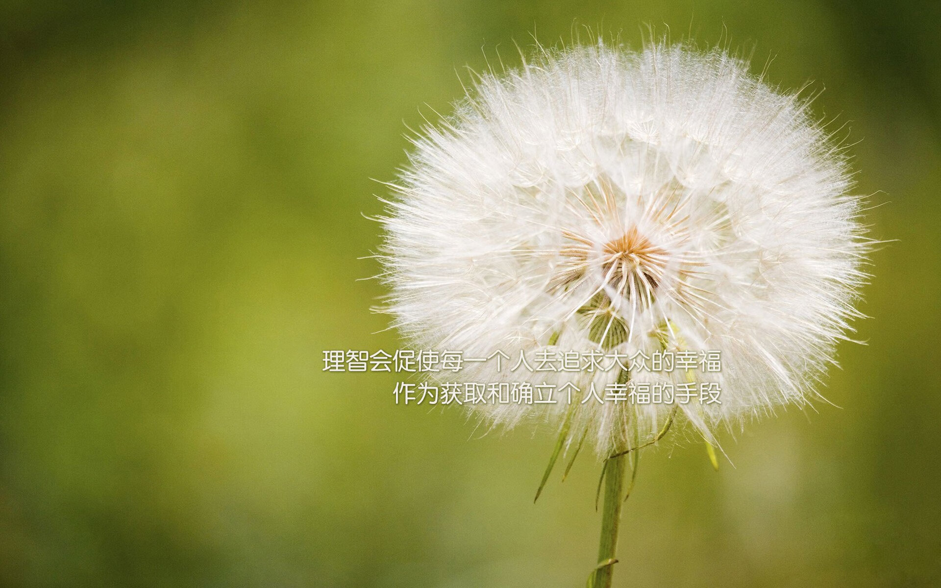 中国足球青少年联赛比赛规则细化完善,中国青少年足球比赛有哪些