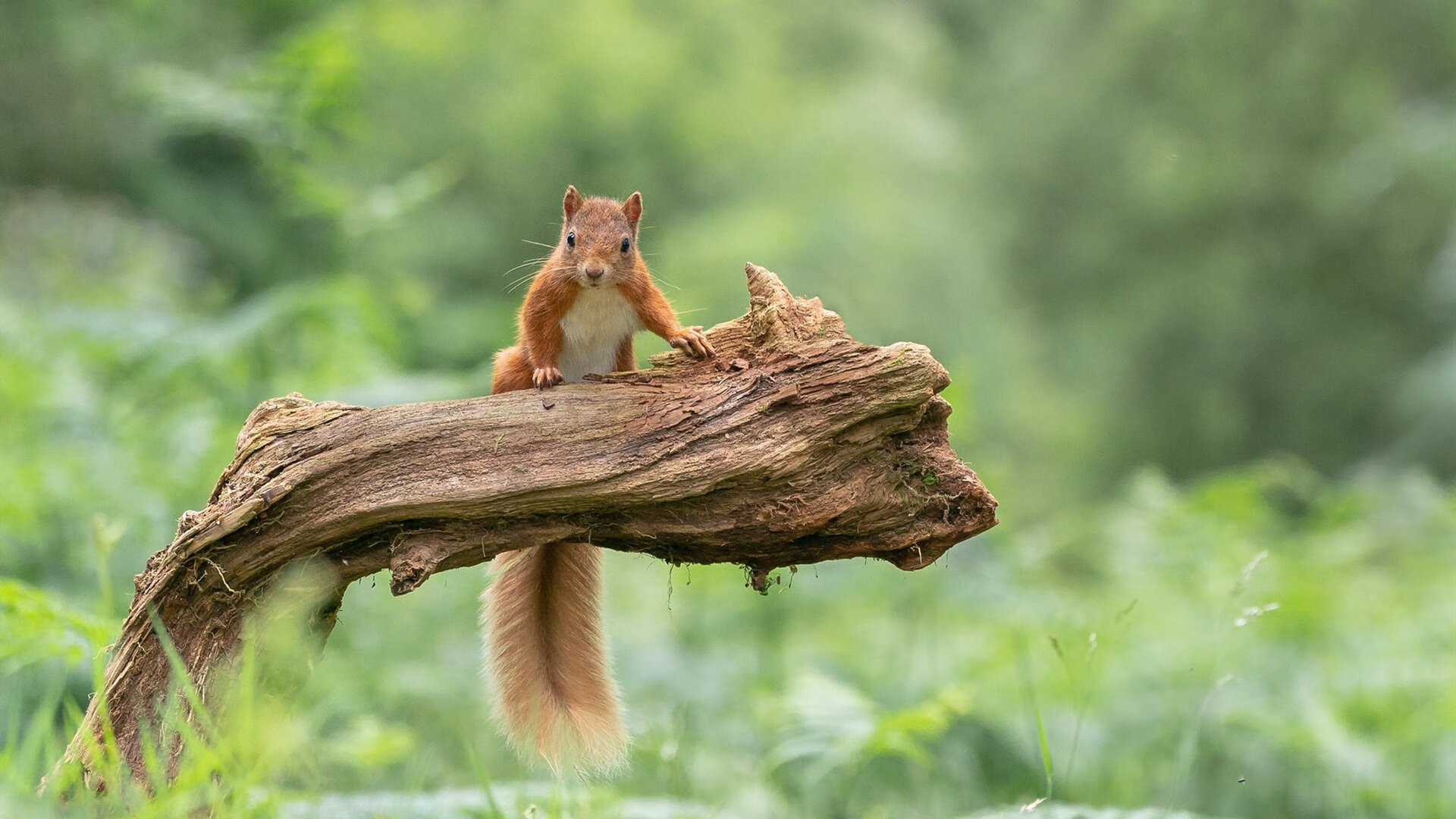 爱游戏app-主教练提醒球员避免情绪波动强调稳定心态是关键因素，如何管理球员在比赛中的情绪