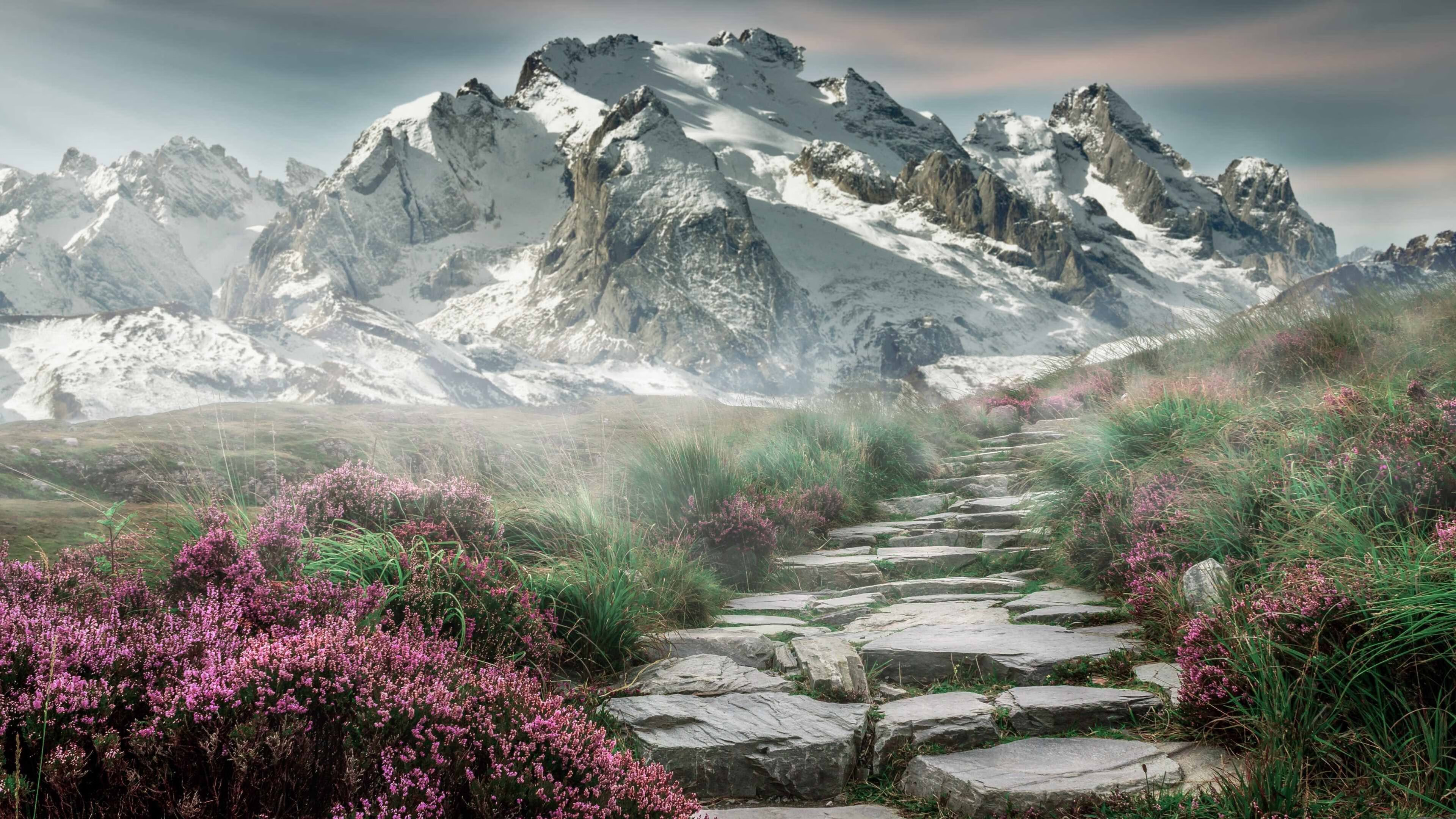 切尔西引援再下一城,中场引援成为焦点