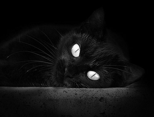 AYX GAMING-国际拳击锦标赛激烈对决，国际拳击规则