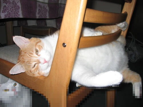 瑞安的个人突破能力，使全黑队的进攻变得更加多样化，瑞安打黑最新新闻