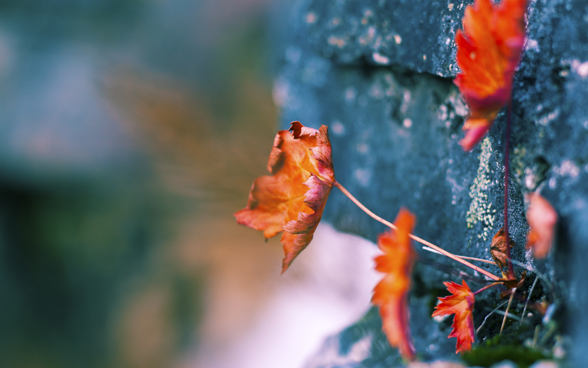 篮网主打挡拆创造大量空位得分机会,篮网如何