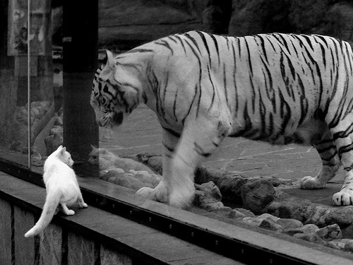 足协发布新赛季联赛赛程调整通知各俱乐部关注,足协杯联赛2020赛程表